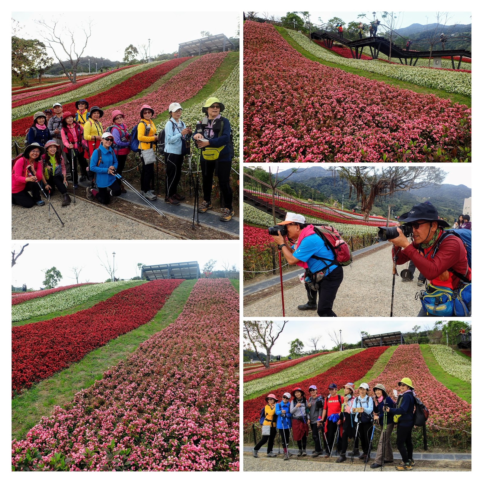八勢古道-三空泉步道-小坪頂山-青礐水圳步道-貴子坑-三層崎 - 健行筆記