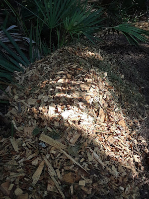 free wood chips