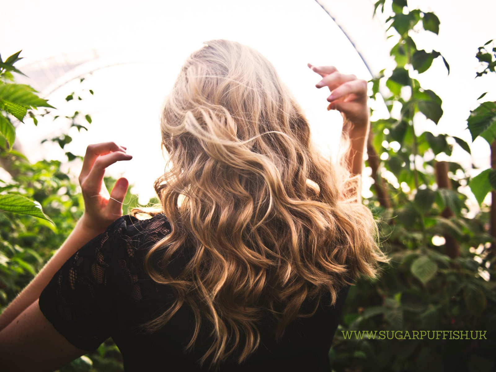 Looking for natural shampoos for a bad hair day!