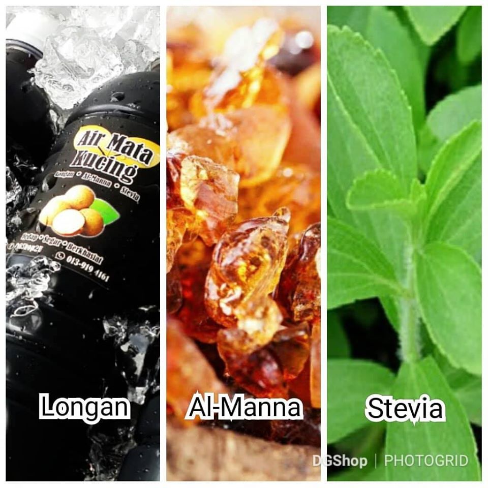 Air Mata Kucing Stevia Sedap