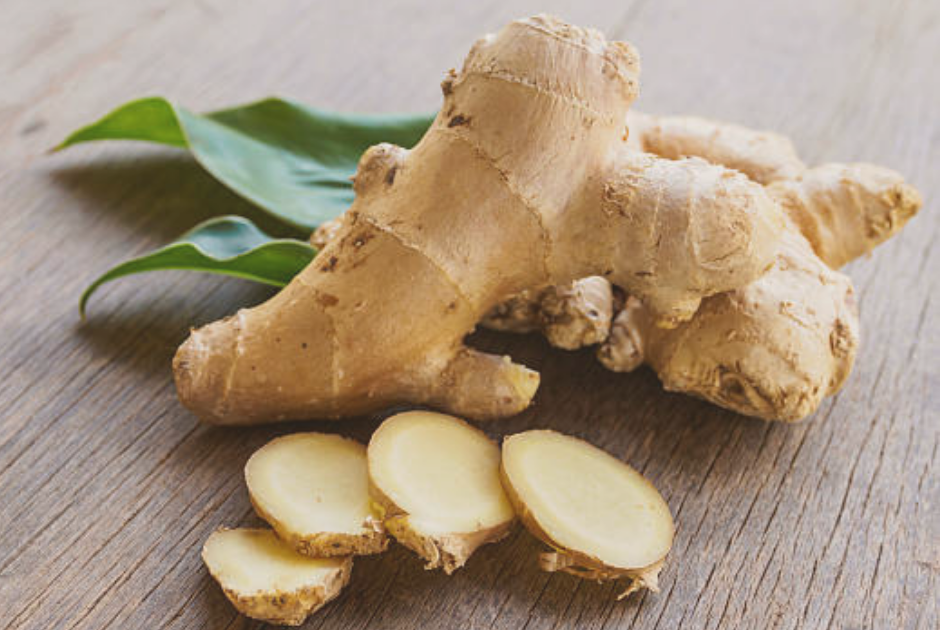 Ginger Herbs for Dogs and Cats