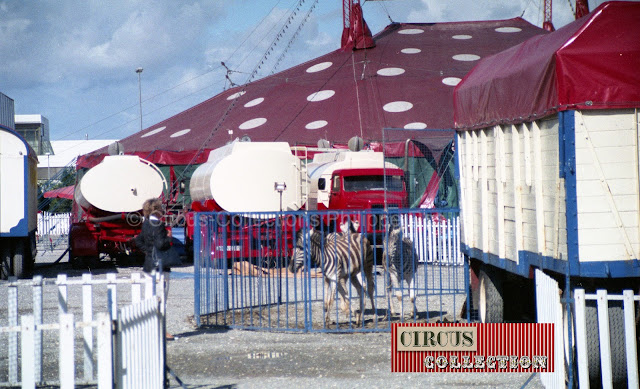 chapiteau et matériel du Circus Fliegenpilz 1995