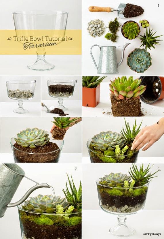 Crea tu propio Terrarium en casa: Mini Jardines Urbanos. - c@sas de
