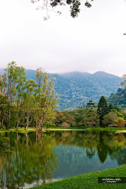 taman tasik taiping, gambar cantik, gambar di taman tasik taiping, gambar pemandangan di taman tasik taiping,