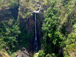 Located in northeast India, the Similipal Biosphere Reserve lies within two biogeographical regions: the Mahanadian east coastal region of the Oriental realm and the Chhotanagpur biotic province of the Deccan peninsular zone. ... The highest peak in the Similipal hill range is Khairiburu (1,168 metres).