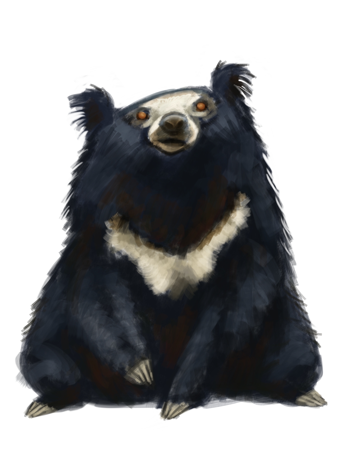 Has Anyone Seen My Glasses?: Bears!