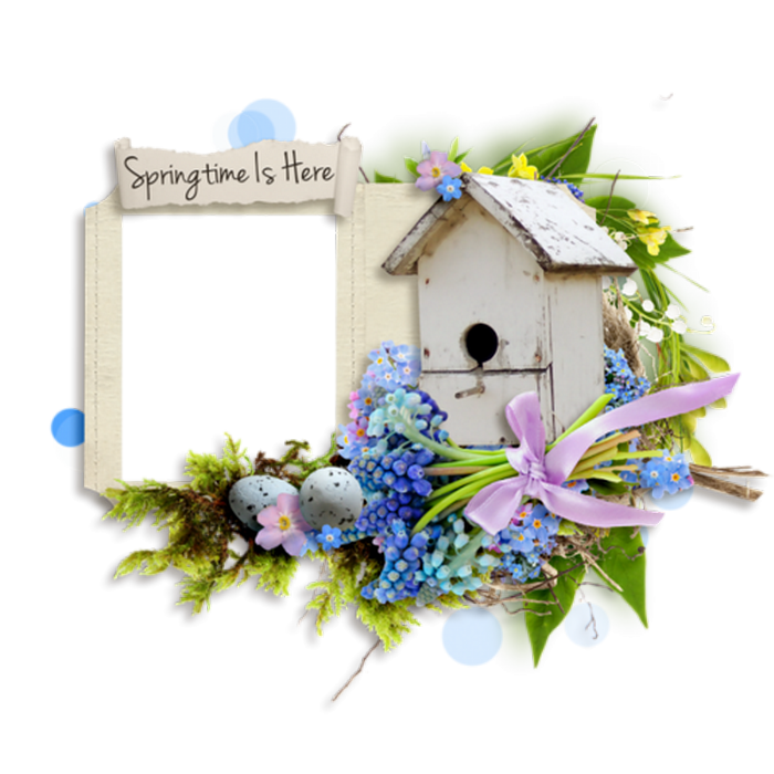 Cluster spring frames