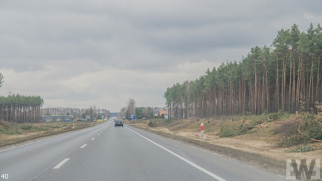 Wycinka drzew pomiędzy Białymi Błotami a Pawłówkiem