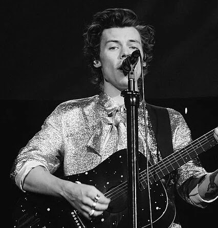 Harry Styles Net Worth