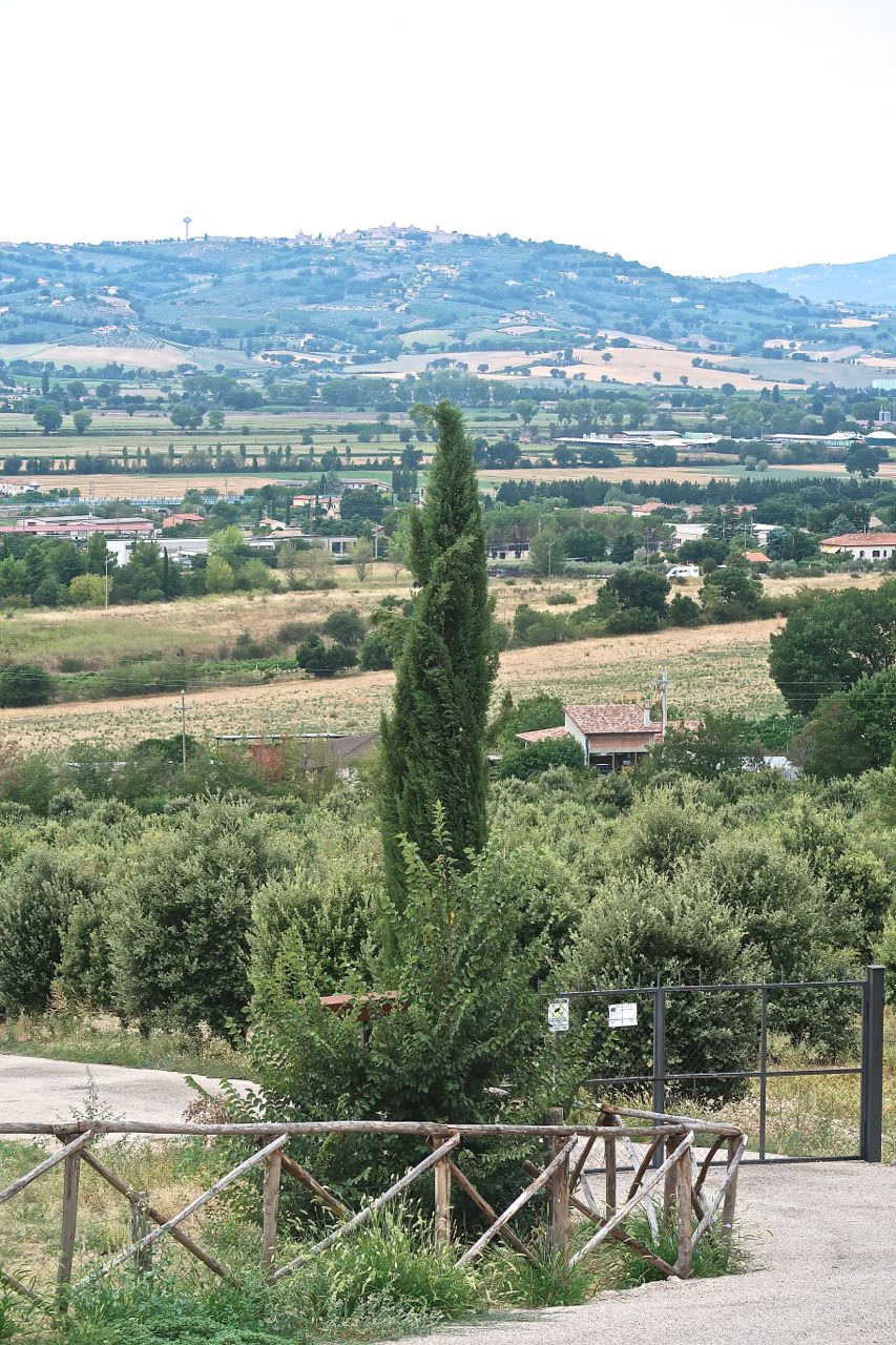 Scrumpdillyicious La Cucina Di San Pietro A Pettine Truffle Lunch