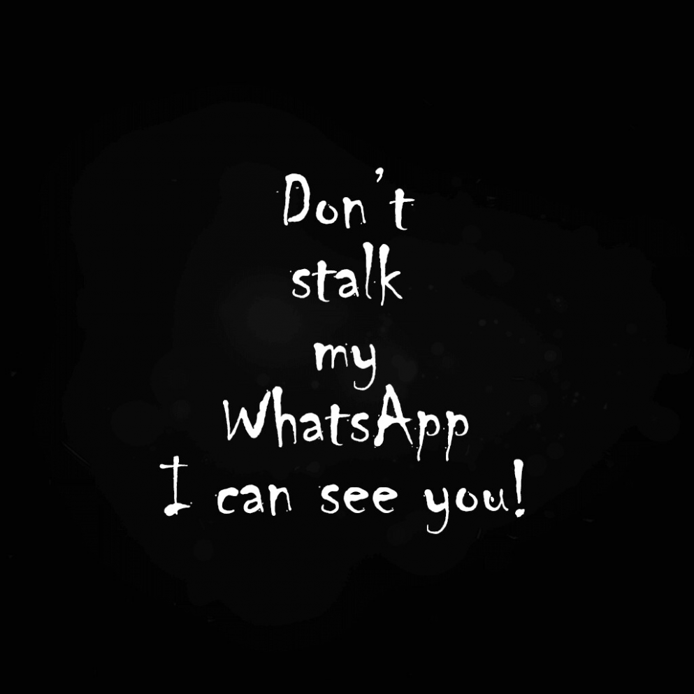 Whatsapp Dp For Girls Whatsappfun2020 Blogspot Com