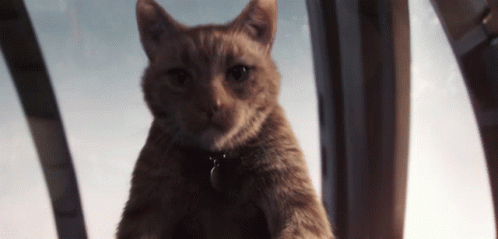 [Image: nick%2Bfury%2Bgoose.gif]