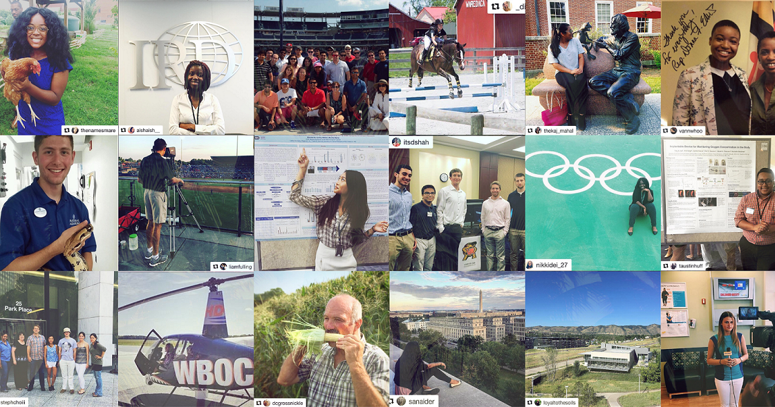 CCJS Undergrad Blog Summer Internship Contest University Career Center