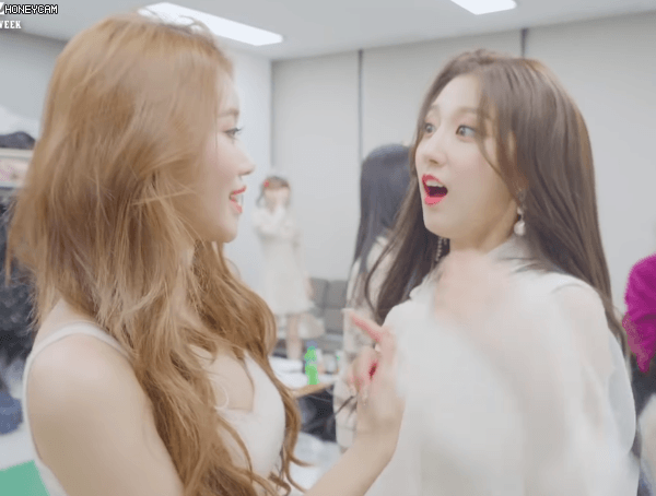 본인들이 러블리즈의 미인이라고 주장하는 멤버 2명.gif | 인스티즈