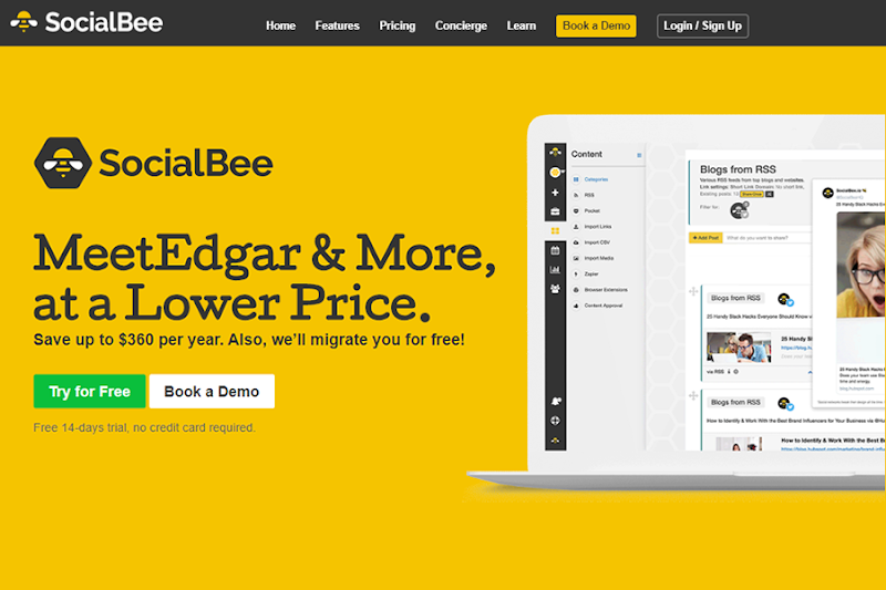 SocialBee is a powerful social media management tool