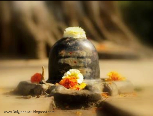 Onlyjaankari: Shravan-shiv-abhishek