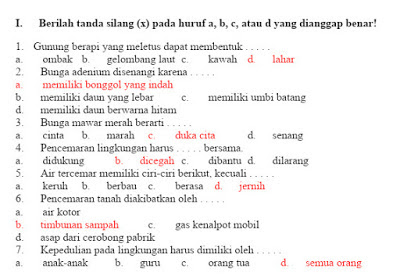 Soal Pat Ukk Kelas 4 Plh Sd Mi Kurikulum 2013 Tahun 2020 File Pembelajaran Kurikulum2013