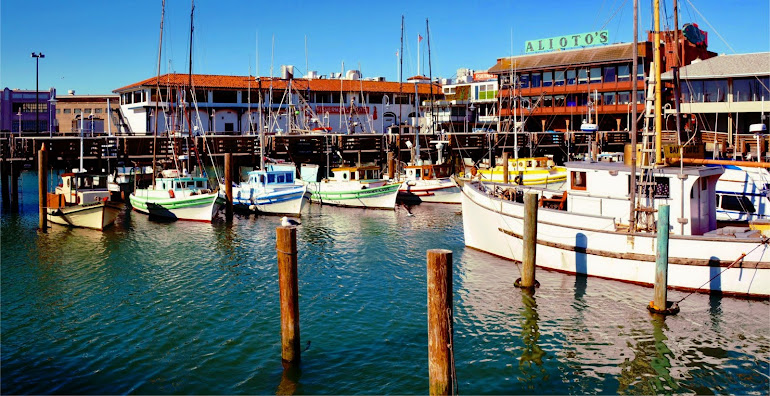 Fleet's In - Pier 39 - San Francisco