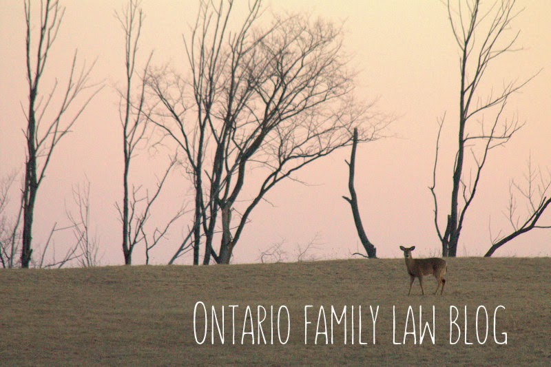 ONTARIO FAMILY LAW BLOG