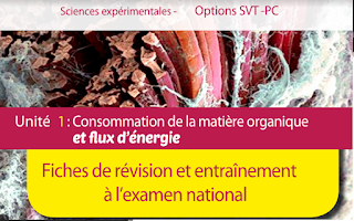 Fiches de révision et entraînement à l'examen national de l'unité 1