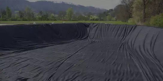 Geomembrane