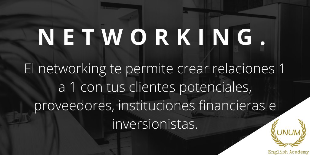 UNUM English Academy NETWORKING ¿Qué es y por qué es importante?