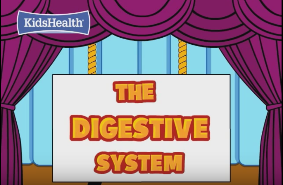 Mr. Forde Life Science Kids Health on Digestion!! A great review!
