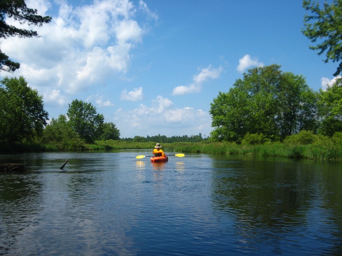 Stewards of the Northwoods Paddling the Manitowish River