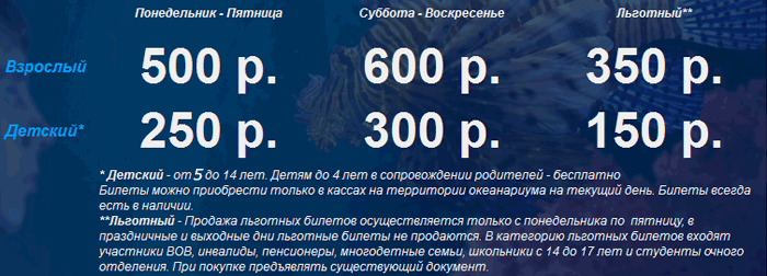 Океанариум москва график работы в новогодние праздники