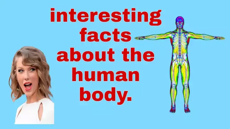 interesting facts about the human body.