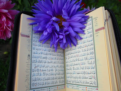 Pengertian Kedudukan Fungsi Dan Tujuan Al Qur An Berbagi Pengetahuan Sidig Purnomo