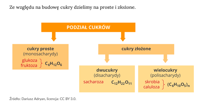 Sprawdzian Nowa Era Poznajemy Sacharydy - Chemia kl.VIII