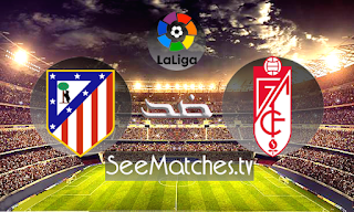 نتيجة مباراة غرناطة ضد اتلتيكو مدريد الدوري الاسباني