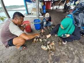 Budidaya Kepiting Bakau Tingkatkan Ekonomi Warga Konut di Masa Pandemi