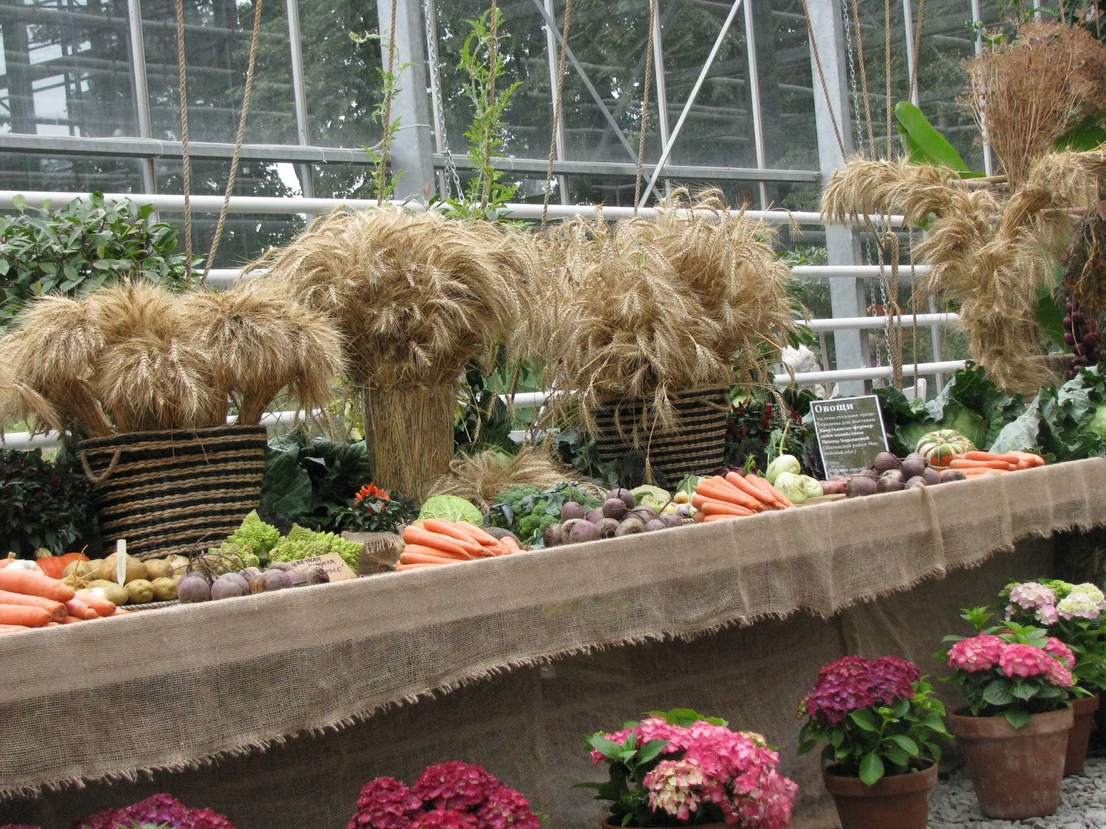 Тюльпаны в аптекарском огороде 2022. Аптекарский огород выставки сегодня. Аптекарский огород выставки сегодня. Репетиция весны в аптекарском огороде. Фестиваль репетиция весны в аптекарском огороде.