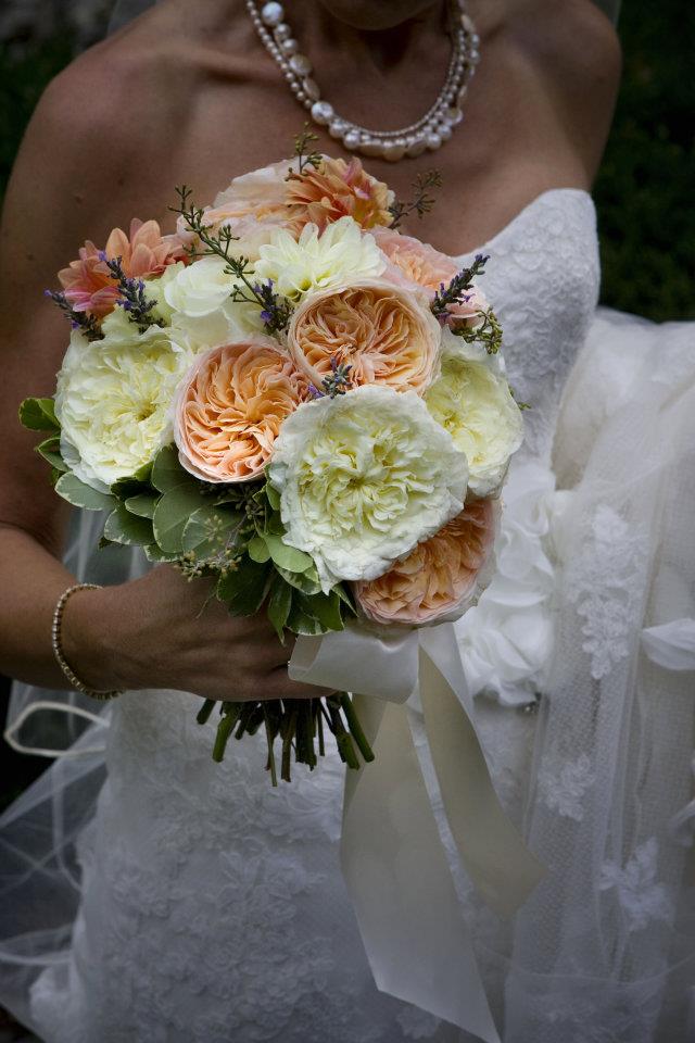 The Discriminating Bride: Jen Rapp