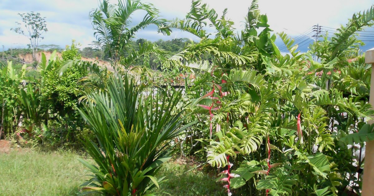 Kambatik Garden in Kuching Update on Kuching garden