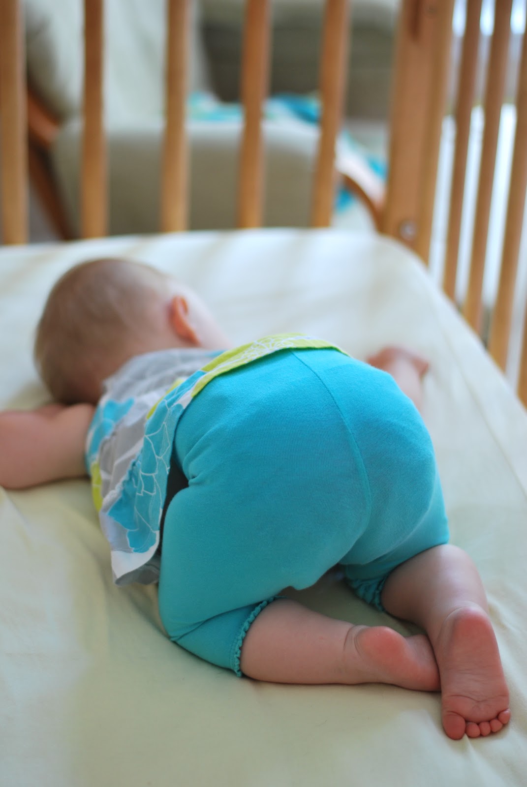 The Piersol Family August 2012