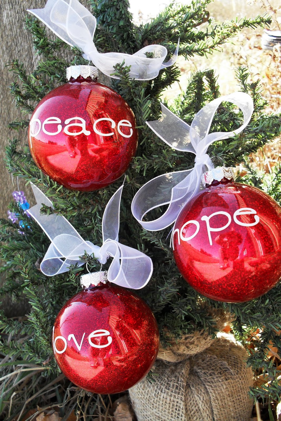 Backroads Plum Crazy: Cricut Class: Christmas Ornaments