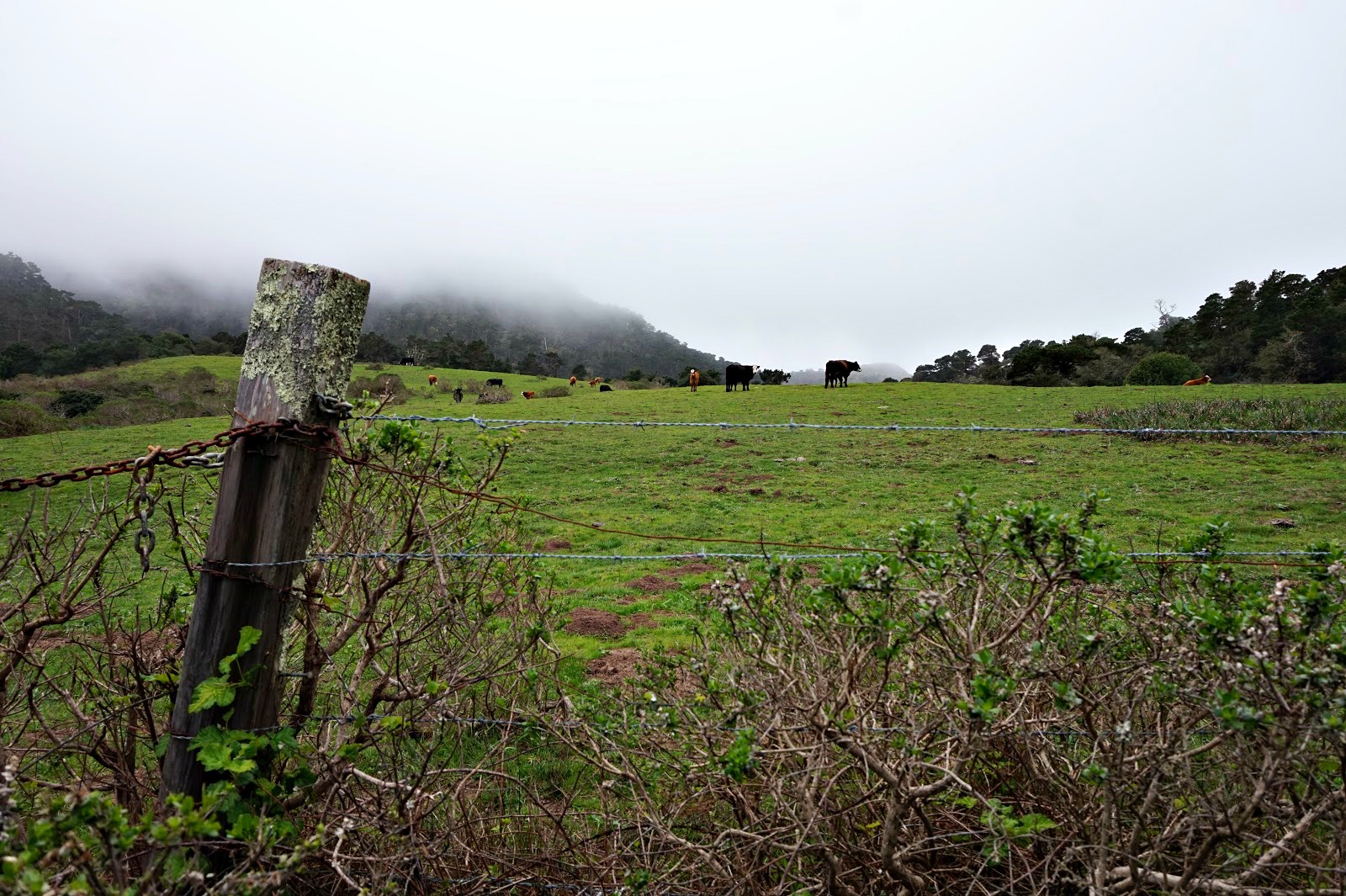The Thrifty Traveler Tomales Bay
