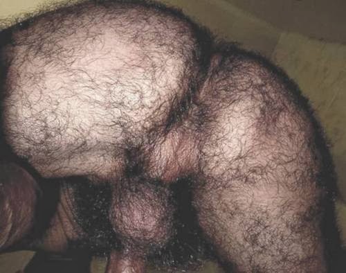 Male Hairy Ass 57