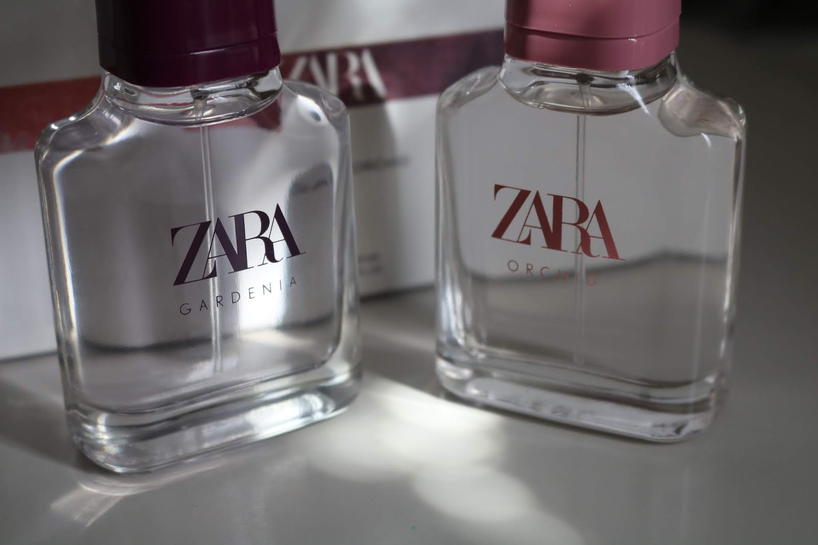zara leather collection perfume gardenia