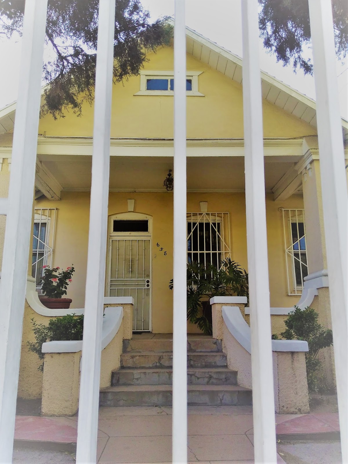 Living Rootless Nogales, Mexico First Look