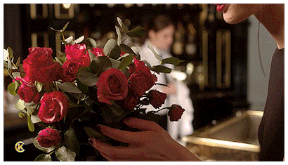 bda%2B%2B%2B13165830Rr2Oiv8L.gif