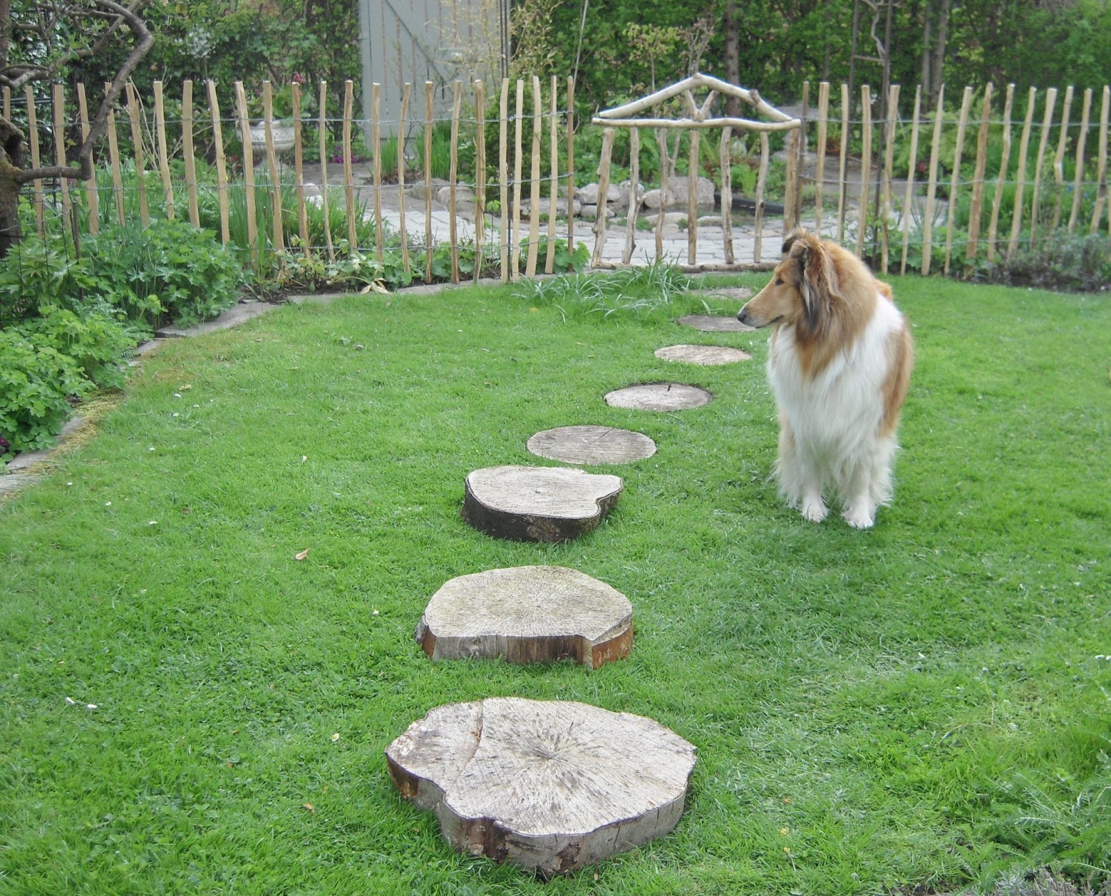 Alice´s Eventyrland: Hegn, låger og trædesten.