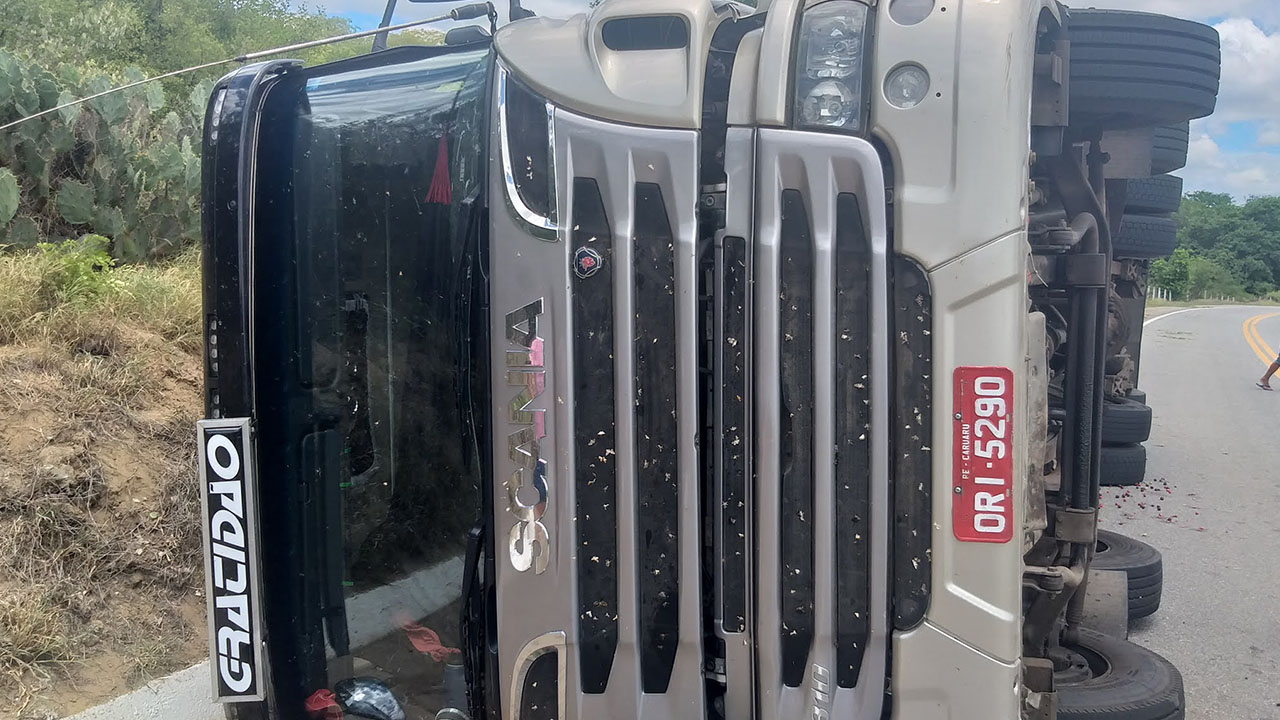 Animais na pista provocam tombamento de caminhão na BR-110, em Monteiro