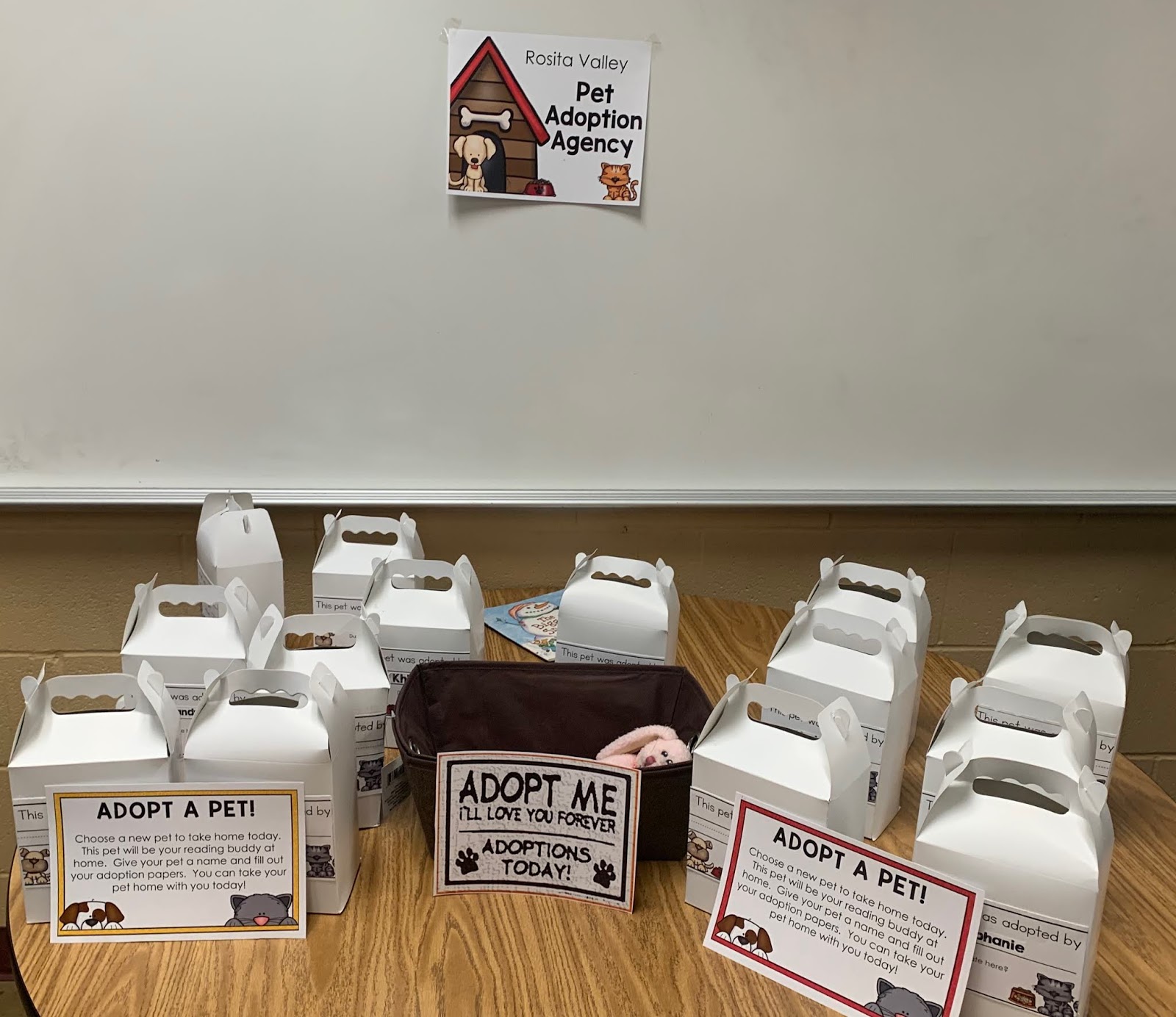 Rve study guide image