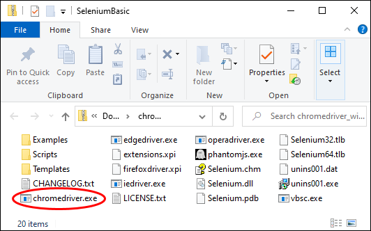 download chromedriver for selenium download chromedriver for selenium