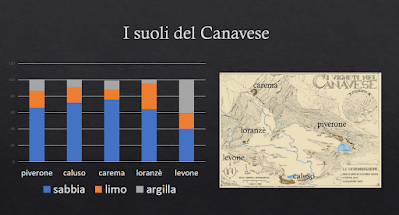 terreni vigne canavese