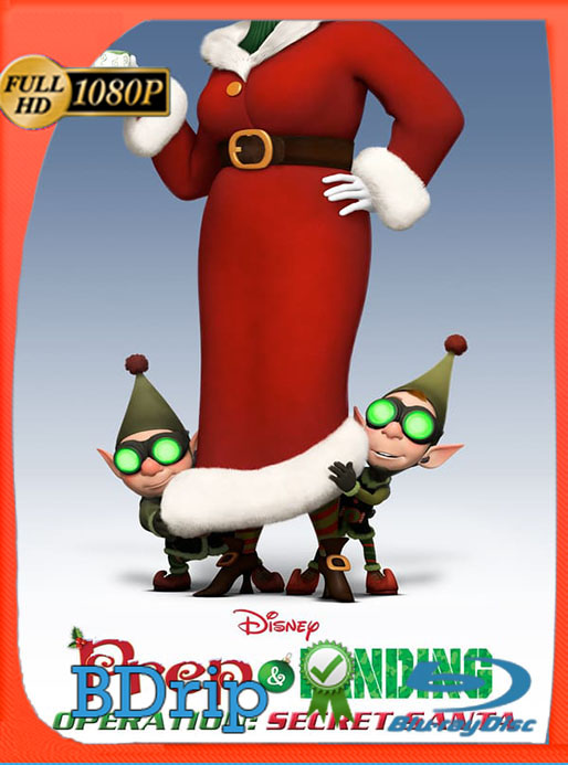 Lanny y Wayne: Los elfos navideños: Operacion Santa (2011) 1080p BDRip Latino [GoogleDrive] [tomyly]